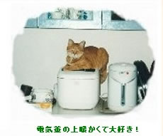 上野さんちのチャッピー
