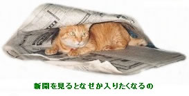 上野さんちのチャッピー